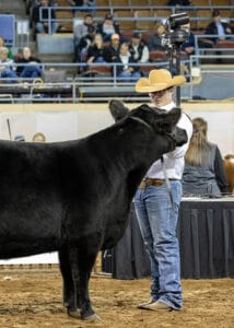 David shows his steer